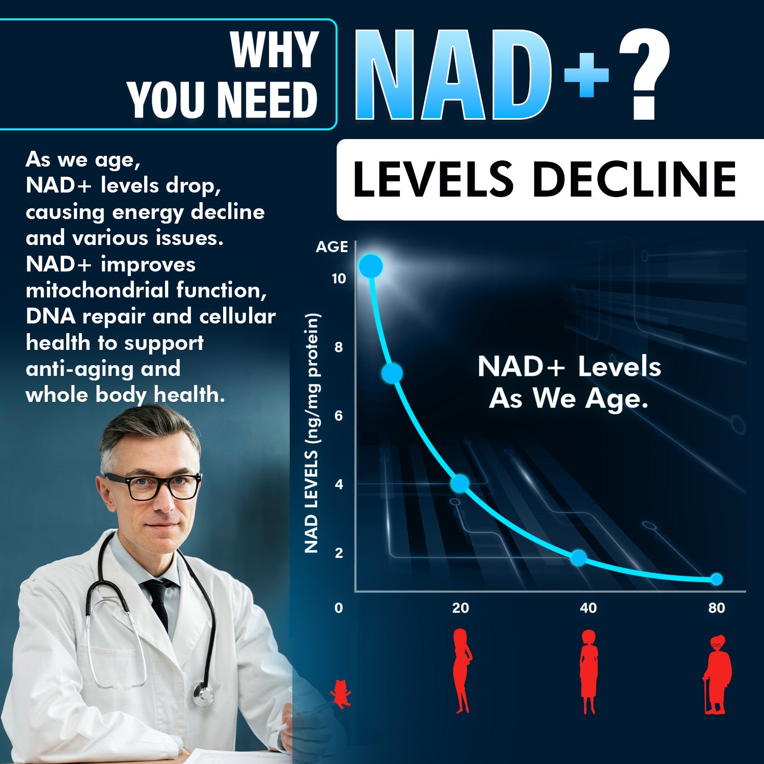 Why you need NAD+